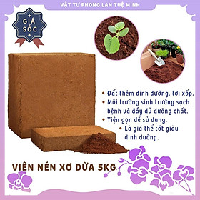 Mua Xơ dừa nén 5KG  trồng cây rau mầm (viên lớn)