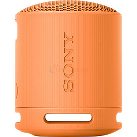 Loa Bluetooth Sony SRS-XB100 - Hàng chính hãng