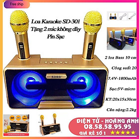 Mua Loa Karaoke SD 301 - SD 306 - SD 309 Kèm 2 Micro Không Dây tích hợp bluetooth 4.0 - usb - thẻ nhớ