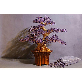 Mua Cây Đá Phong Thủy  Chậu Bon Sai Bằng Đá Để Bàn Siêu Đẹp - Cao ~45cm