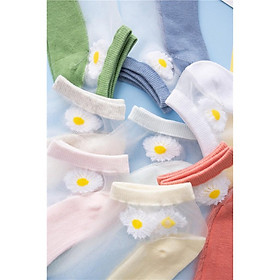 set 10 đôi tất cúc hoa mi lưới tặng kèm túi xinh / 10 đôi tất hoa cúc lưới