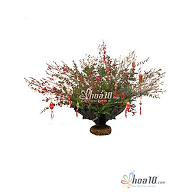 Bình Hoa Tươi - Mùa Xuân Gọi 4312