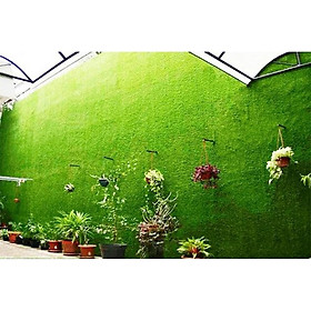 Mua Thảm cỏ nhân tạo 3cm