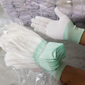 Mua Găng tay bảo hộ túi 10 đôi