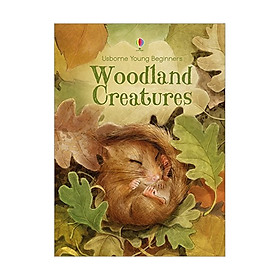 Young Beginners Woodland Creatures