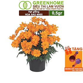 Hạt Giống Hoa Sao Nhái Mix Greenhome, Gói 0,5gr, Sai Hoa, Màu Rực Rỡ, Dễ Trồng Quanh Năm, Nảy Mầm Cao H02