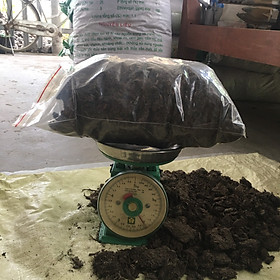 Mua  Túi 2kg  Phân rơm mục  trồng hoa hồng trồng rau hoa kiểng