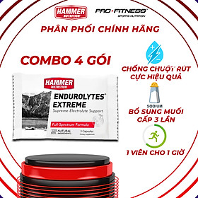 Bộ 4 gói Viên uống điện giải- Hammer Nutrition Endurolytes Extreme 