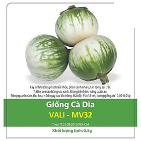 Hạt Giống Cà Dĩa Vali Năng Suất Cao - gói 0.5gr