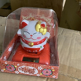 Mua Mèo thần tài năng lượng mặt trời