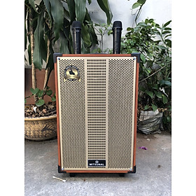 Mua Loa kéo karaoke cao cấp Mitsunal T1209  BASS 30CM - Hàng chính hãng