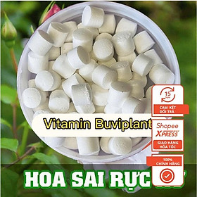 Mua GÓI 20 VIÊN PHÂN BÓN TAN CHẬM BUVIPLANT SIÊU DINH DƯỠNG CHO CÂY( bón được cho tất cả các loại cây)