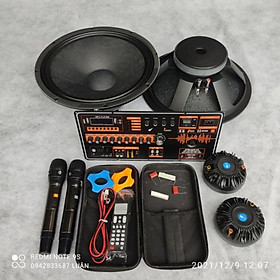 Mua Loa Kéo 4 Tấc Đôi Reverb Công Suất Khủng Chống Hú  2 Bass Khủng  2 Mic Hát Bao Hay  Chuyển Hàng Toàn Quốc