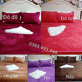 Mua Bảo vệ đệm muji