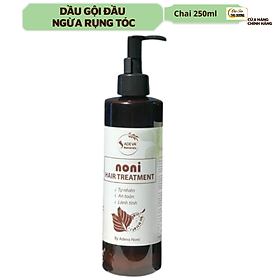 Dầu gội chống gàu ngừa rụng tóc Adeva Noni - 100% từ thảo dược thiên nhiên, không cần dầu xả. Mùi thơm tự nhiên, phục hồi tóc hư tổn, giúp tóc bóng mượt tự nhiên - Chai