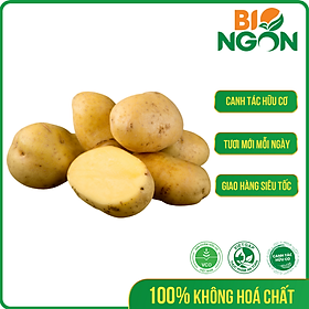 Chỉ Giao HCM - Khoai Tây 450-550g gói