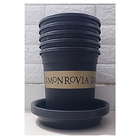Combo 5 Chậu MONROVIA CH Garden 1.5Gal + 5 Khay Lót Đế Chậu 26 - Màu Đen
