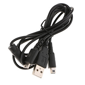 2 in 1 4ft USB Charging Power Charger Cable Cord for Nintendo DS Lite NDSi