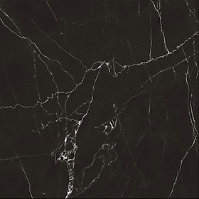 GẠCH ỐP LÁT GRANITE FGB60-0010.0