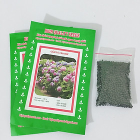 Combo 02 Gói Hạt Giống Hoa Cẩm Tú Cầu - Tặng Kèm Phân Bón