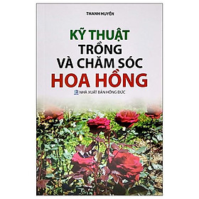 Kỹ Thuật Trồng Và Chăm Sóc Hoa Hồng