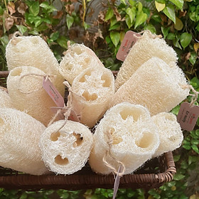 Mua Xơ mướp tự nhiên ViOrganic – Size nhỏ - phù hợp làm miếng rửa chén