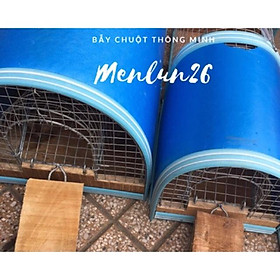 Mua Set 1 bẫy lớn  1 bẫy nhỏ