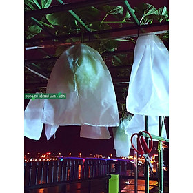 Mua Túi bao trái cây khỏi côn trùng có nhiều kích  lựa chọn bao trái ổi mận mướp dưa leo dưa hấu dưa lưới