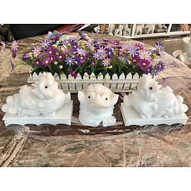 Mua Bộ combo Tỳ Hưu dài 20cm và Tượng Cóc Ba Chân  Cóc Ngậm Tiền  Thiềm Thừ phong thủy dài 15cm đá cẩm thạch trắng
