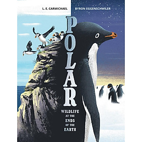 Sách - Polar - Wildlife at the Ends of the Earth by Byron Eggenschwiler (UK edition, Hardcover)