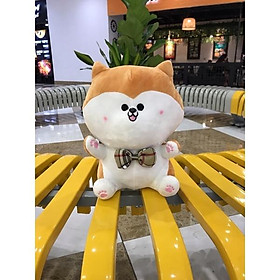 Gấu bông Shiba ngồi size 28cm