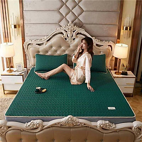 Mua Chiếu điều hòa Tencel Latex từ cao su non êm mát hàng loại 1