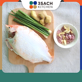 RTC Cá Diêu Hồng Hấp Hành Gừng Khay 750G