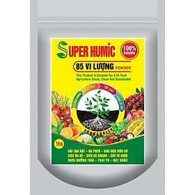 Mua Phân bón hữu cơ : Super Humic 85 vi lượng