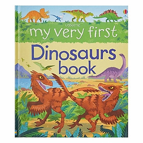 My Very First Dinosaurs Book