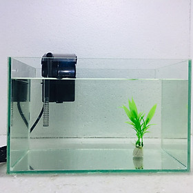 Bể cá mini để bàn 30x17x17cm + Lọc nước