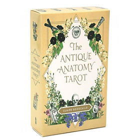 Hình ảnh Bộ bài The Antique Anatomy Tarot T16