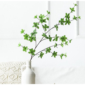 Mua Cành Thạch Nam Nhật Bản dài 100cm  5 nhánh một lá 6 cánh đường kính lá 7cm