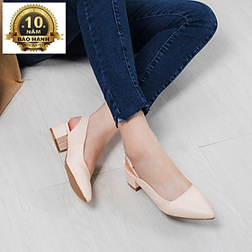 Giày Cao Gót Nữ Thời Trang Mũi Nhọn Cao 3 Phân EL009