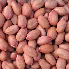 Mua 1kg Đậu Phộng Nhân Sống (Lạc Nhân)
