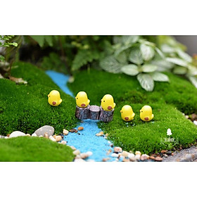 Gà Con Mini Trang Trí Chậu cây, Terrarium, Sen Đá, Xương Rồng
