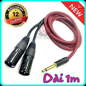 Dây chuyển đổi Jack 6 ly ra 2 đầu XLR đưc