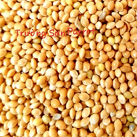 1kg KÊ VÀNG BÓNG cho chim vẹt, sóc, chuột, gà...