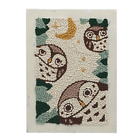 Owls Punch Embroidery Kits With Basic Tools Soft Yarn Embroidery Hoop DIY Sewing