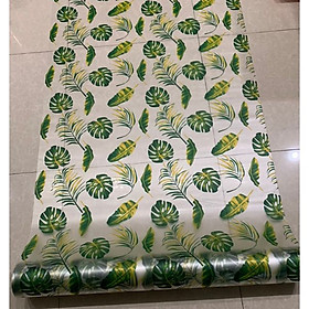 Mua Decal dán kính lá tropical - có sẵn keo  - dán phòng ngủ - phòng khách - phòng bếp - dán cửa toilet DK50