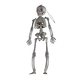 Halloween Skeleton Decoration Full Body Movable Joints Skeletons for Holiday