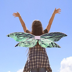 Shiny Angel Butterfly Wing Fairy Wing Stage Performance Fancy Dress