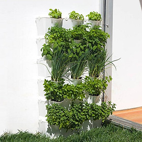 Chậu Trồng Rau Đứng Nhập Khẩu (Combo 4 bộ) kèm bộ tự Tưới nhỏ giọt và tự bón phân cho rau tự động