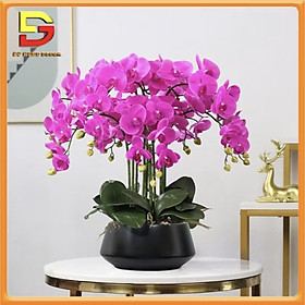 Mua Chậu Hoa Lan Cắm Sẵn Chậu Hoa Lan Hồ Điệp 10 Nhánh Trang Trí Nhà Cửa Khách Sạn Văn Phòng DG-555