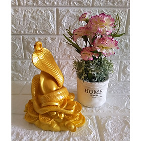 Mua Tượng Đá Trang Trí Rắn cuộn vàng Phong Thủy - Cao 16cm - Màu vàng - RV16
